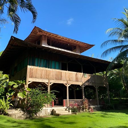 Ocean Forest Ecolodge San Pedrillo Exterior photo