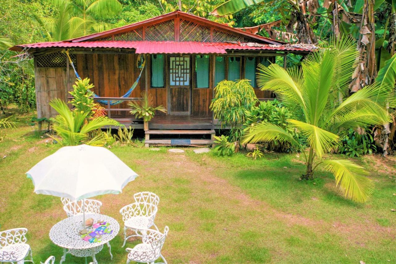 Ocean Forest Ecolodge San Pedrillo Exterior photo
