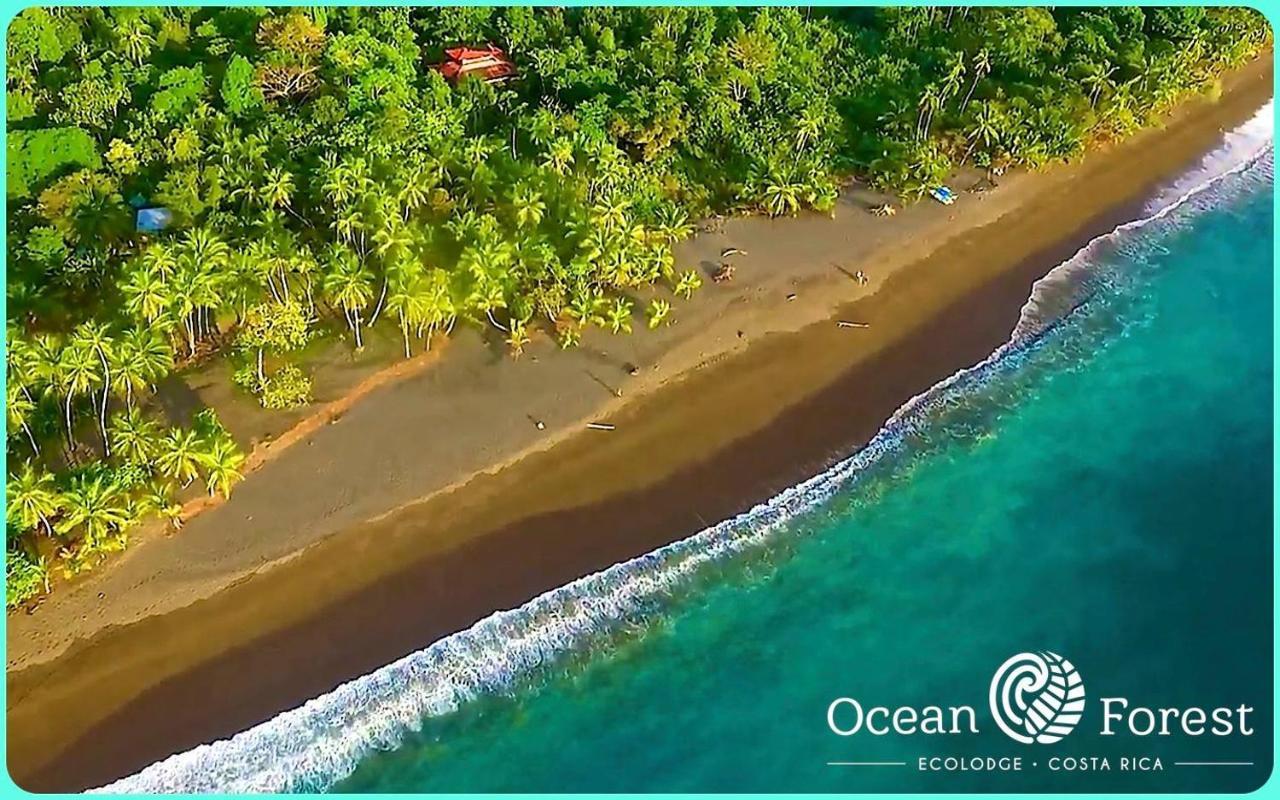 Ocean Forest Ecolodge San Pedrillo Exterior photo