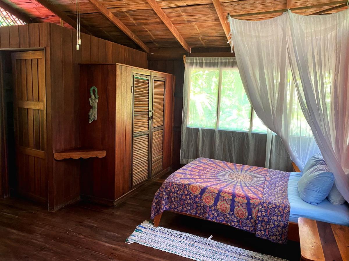 Ocean Forest Ecolodge San Pedrillo Exterior photo