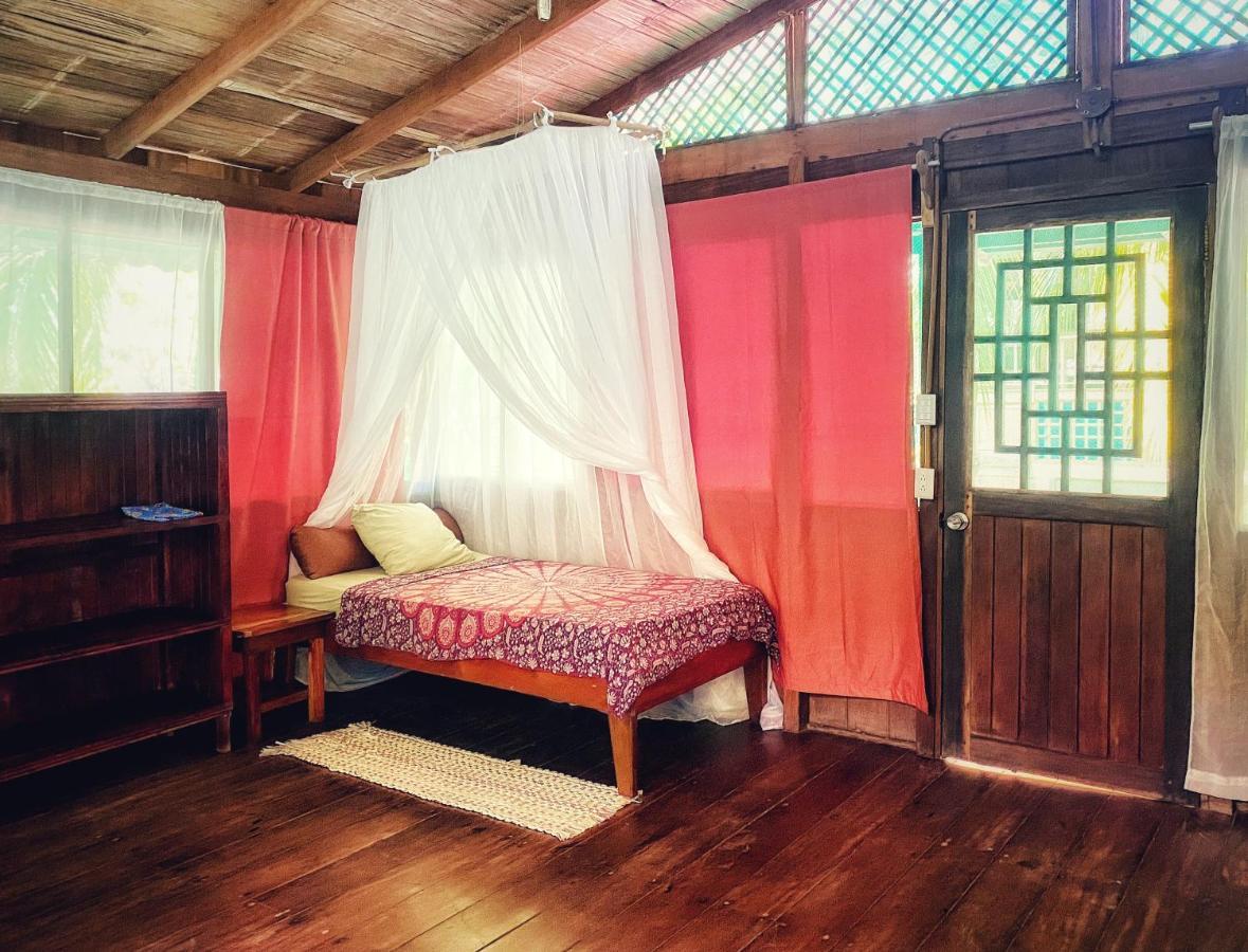 Ocean Forest Ecolodge San Pedrillo Exterior photo