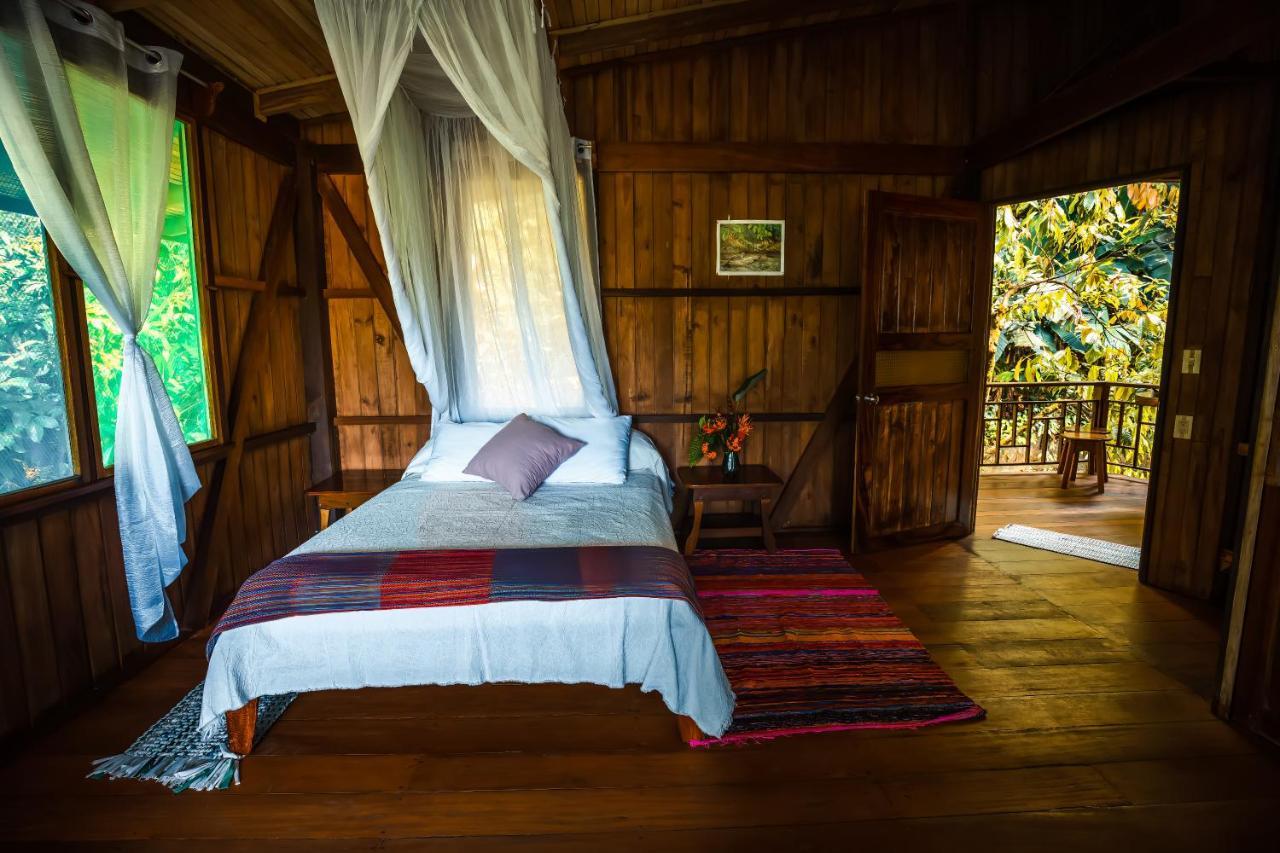 Ocean Forest Ecolodge San Pedrillo Exterior photo