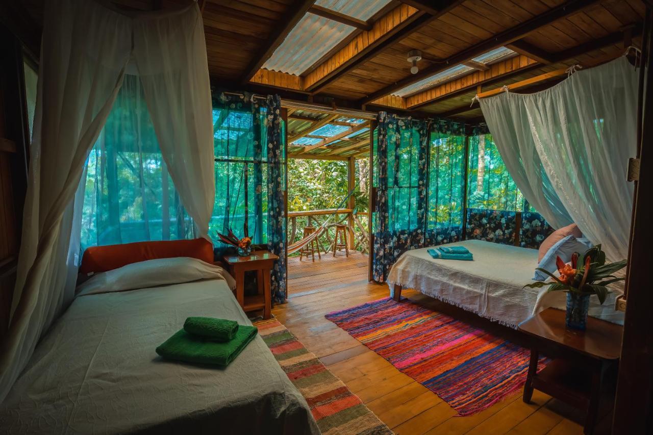 Ocean Forest Ecolodge San Pedrillo Exterior photo