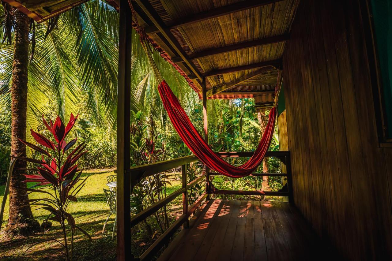 Ocean Forest Ecolodge San Pedrillo Exterior photo
