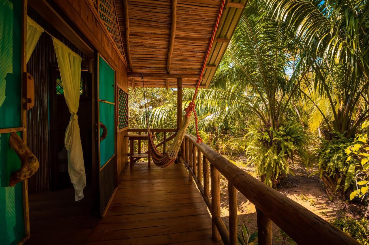 Ocean Forest Ecolodge San Pedrillo Exterior photo