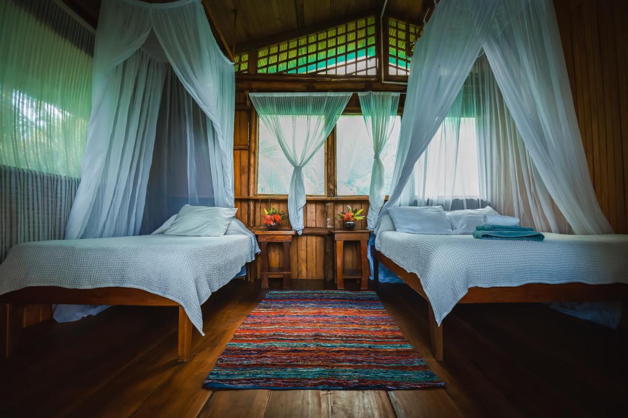 Ocean Forest Ecolodge San Pedrillo Exterior photo