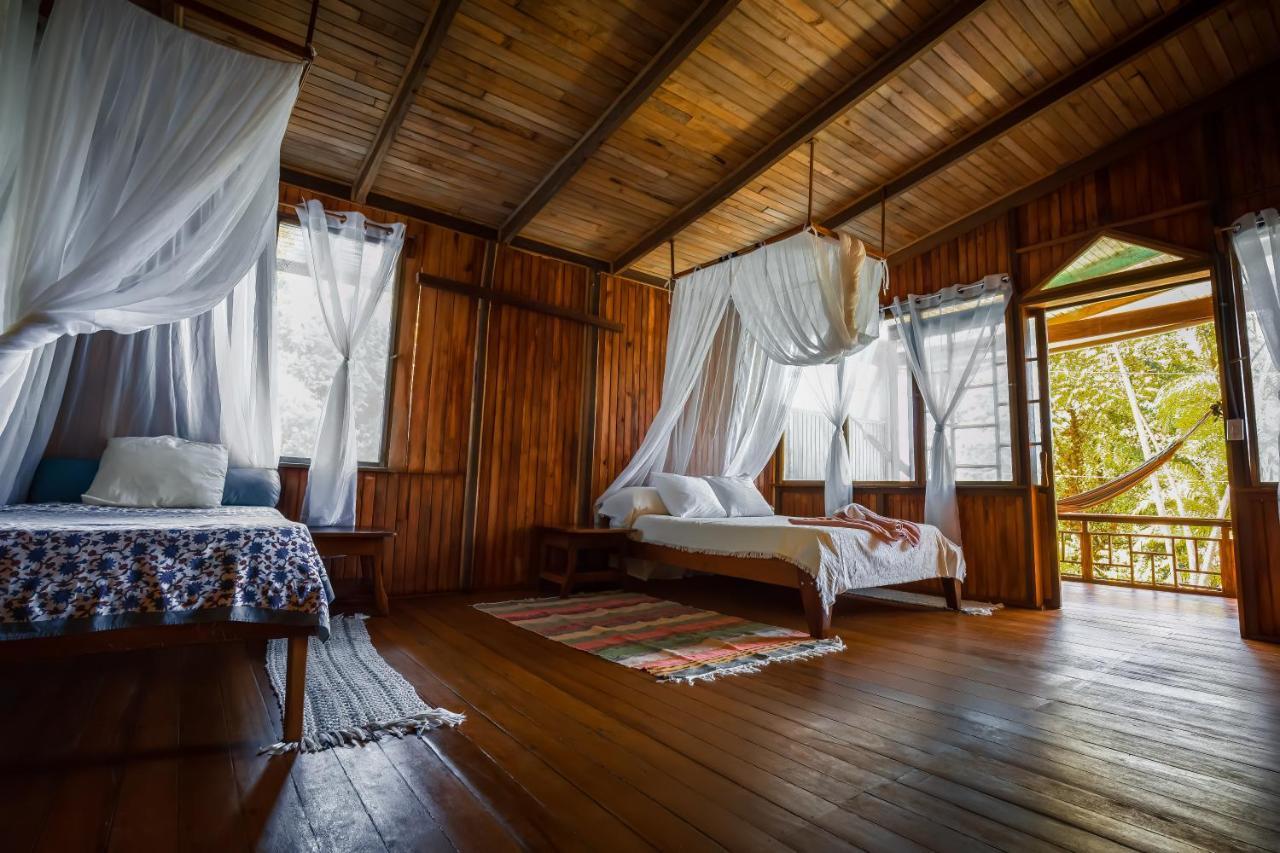 Ocean Forest Ecolodge San Pedrillo Exterior photo