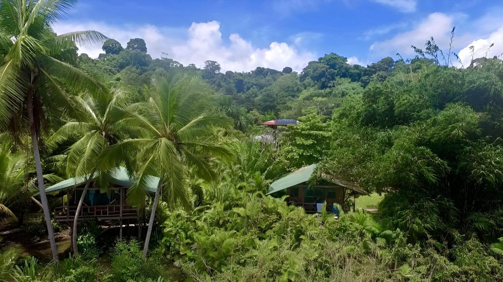 Ocean Forest Ecolodge San Pedrillo Exterior photo