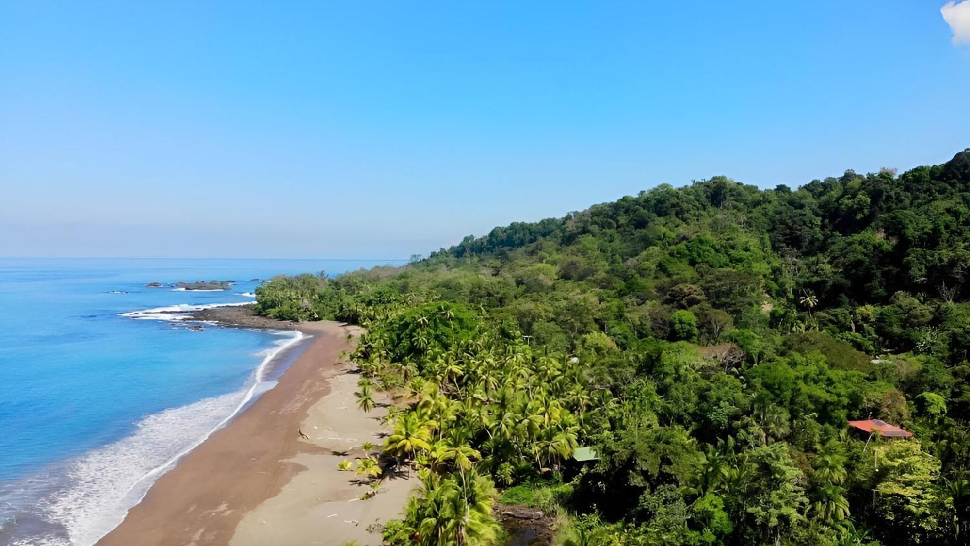 Ocean Forest Ecolodge San Pedrillo Exterior photo