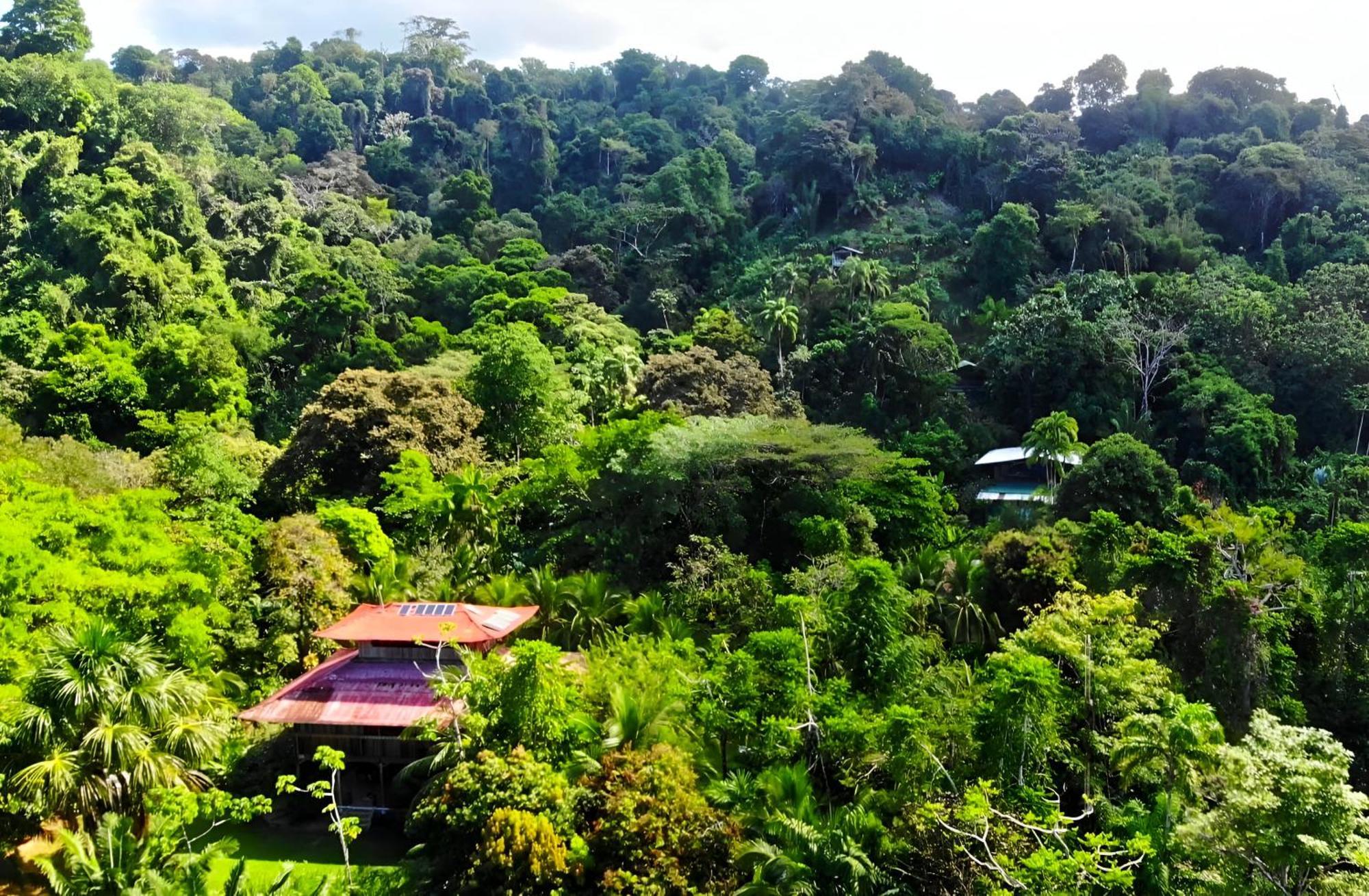 Ocean Forest Ecolodge San Pedrillo Exterior photo